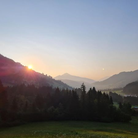Ferienwohnung Zauberwinkelweg Mit Traum-Aussicht! فيلدشوناو المظهر الخارجي الصورة